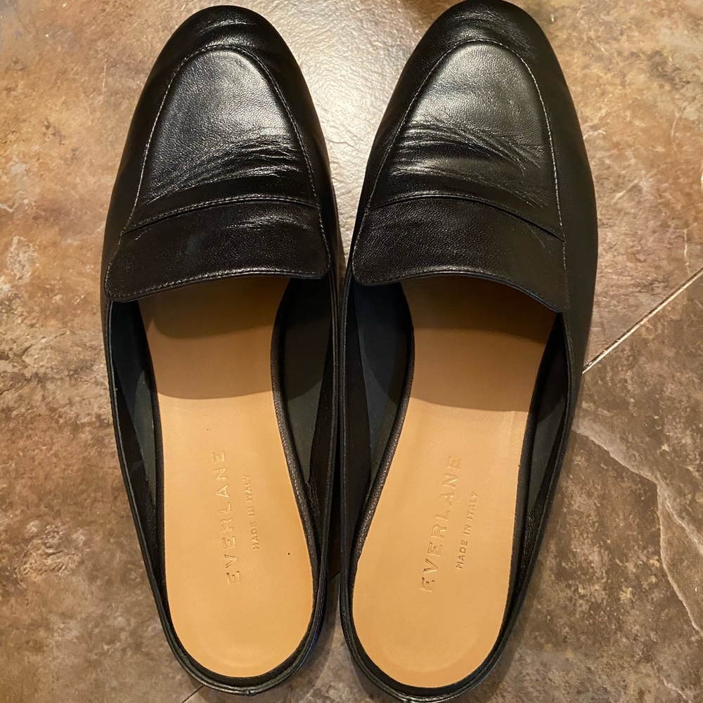 Everlane Modern Loafer Mule
